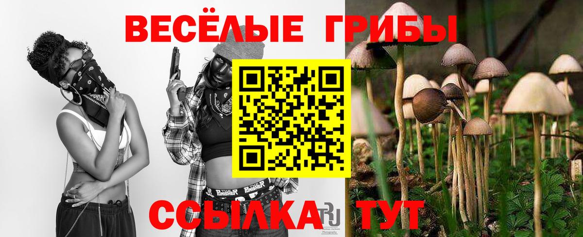 Галлюциногенные грибы Cubensis  хочу наркоту  Галлюциногенные грибы Cubensis  Москва  Вход с VPN 
